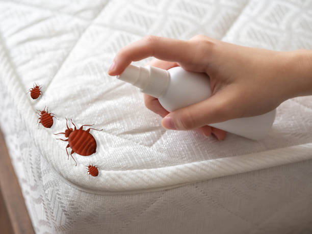 Best Pest Control for Multi-Family Homes  in Airmont, NY